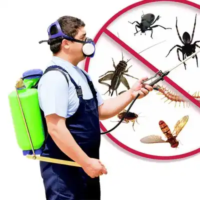 pest control Fort Knox